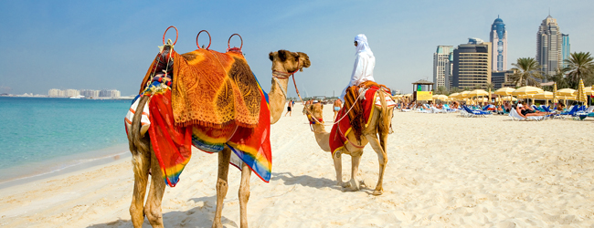 LISA-Sprachreisen-Erwachsene-Englisch-Emirate-Dubai-Kamel-Reiten-Meer-Skyline