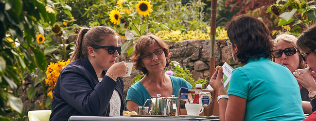 Tee trinken im Garten bei einer LISA! Sprachreise in Jersey Mehrere Damen trinken Kaffee und Tee im Freien umgeben von Sonnenblumen bei einer Englisch Sprachreise
