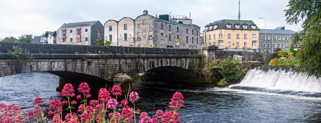 Blick vom Flussufer mit roten Blumen über den Fluss und die Brücke auf Gebäude in Galway
