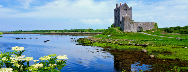 LISA-Sprachreisen-Erwachsene-Englisch-Irland-Galway-Schloss-Castle-See-Blumen