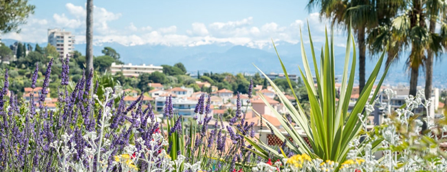 LISA-Sprachreisen-Erwachsene-Franzoesisch-Frankreich-Antibes-Schule-Terasse-Blick-Bucht LISA-Sprachreisen-Erwachsene-Franzoesisch-Frankreich-Antibes-Schule-Terasse-Blick-Bucht