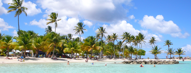 Strand von Sainte Anne auf Guadeloupe während einer LISA! Sprachreise Palmen gesäumter Strand mit türkisfarbenem Wasser in Sainte Anne auf Guadeloupe während einer Sprachreise