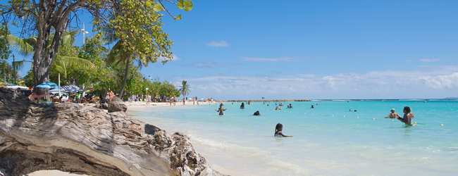 Belebter Strand in Sainte Anne auf Guadeloupe während einer LISA! Sprachreise Menschen genießen das klare, türkisfarbene Wasser an einem tropischen Strand in Sainte Anne auf Guadeloupe während einer LISA! Sprachreise