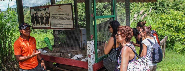Ein Ranger erklärt weiteren Personen etwas über Tiere in einem Käfig bei einem Ausflug in Panama-Stadt