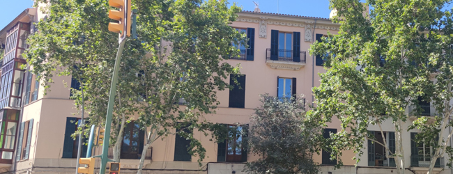LISA! Sprachschule in Palma de Mallorca, Spanien Gelbes Gebäude mit Bäumen, braunen Fensterläden und Balkonen - die LISA! Sprachschule in Mallorca