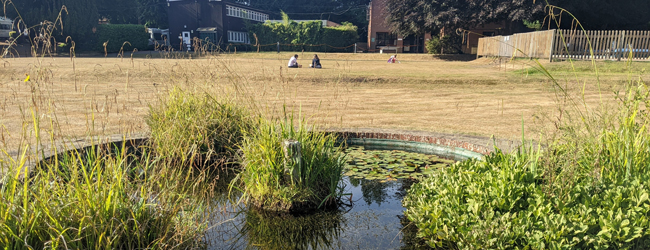LISA-Sprachreisen-Schueler-Englisch-England-Surrey-Box-Hill-Gelaende-Garten-Entspannen LISA-Sprachreisen-Schueler-Englisch-England-Surrey-Box-Hill-Gelaende-Garten-Entspannen