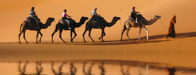 LISA-sprachreisen-Arabisch-Dahab-camel-reiten-wueste-sand-wandern-Aegypten